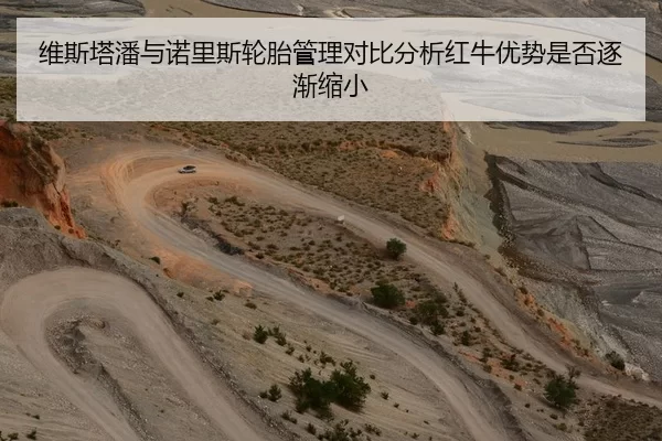 维斯塔潘与诺里斯轮胎管理对比分析红牛优势是否逐渐缩小