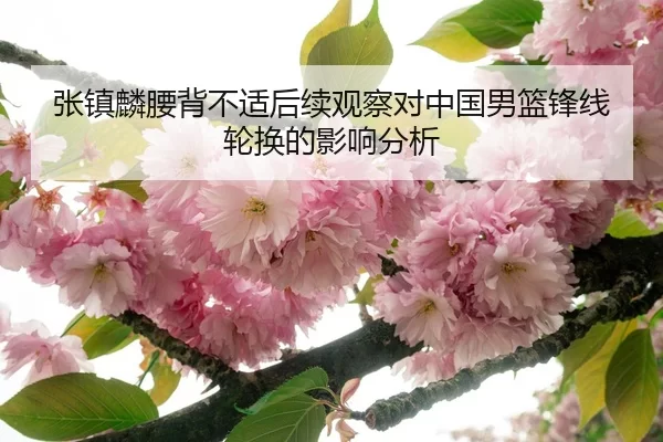 张镇麟腰背不适后续观察对中国男篮锋线轮换的影响分析