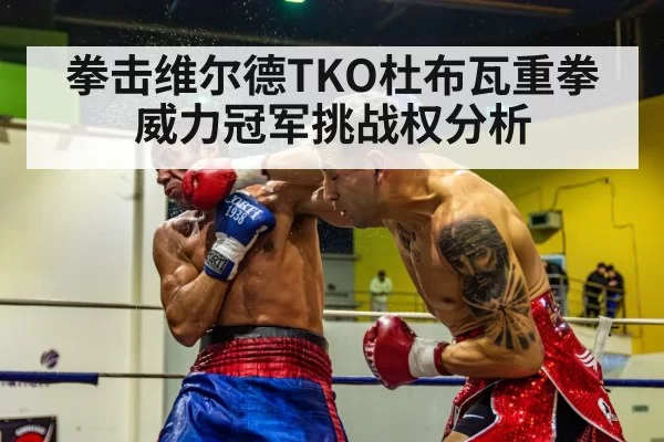 拳击维尔德TKO杜布瓦重拳威力冠军挑战权分析