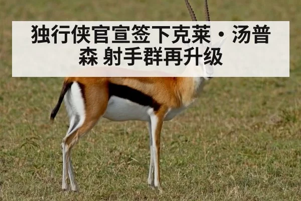 独行侠官宣签下克莱·汤普森 射手群再升级