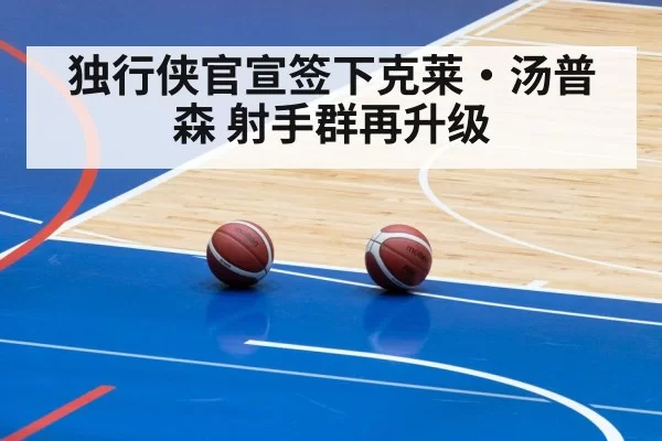 Dallas Mavericks basketball